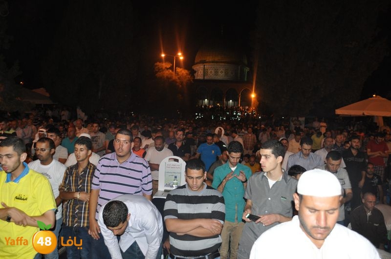 lud trawer7 aqsa 805 (61).JPG